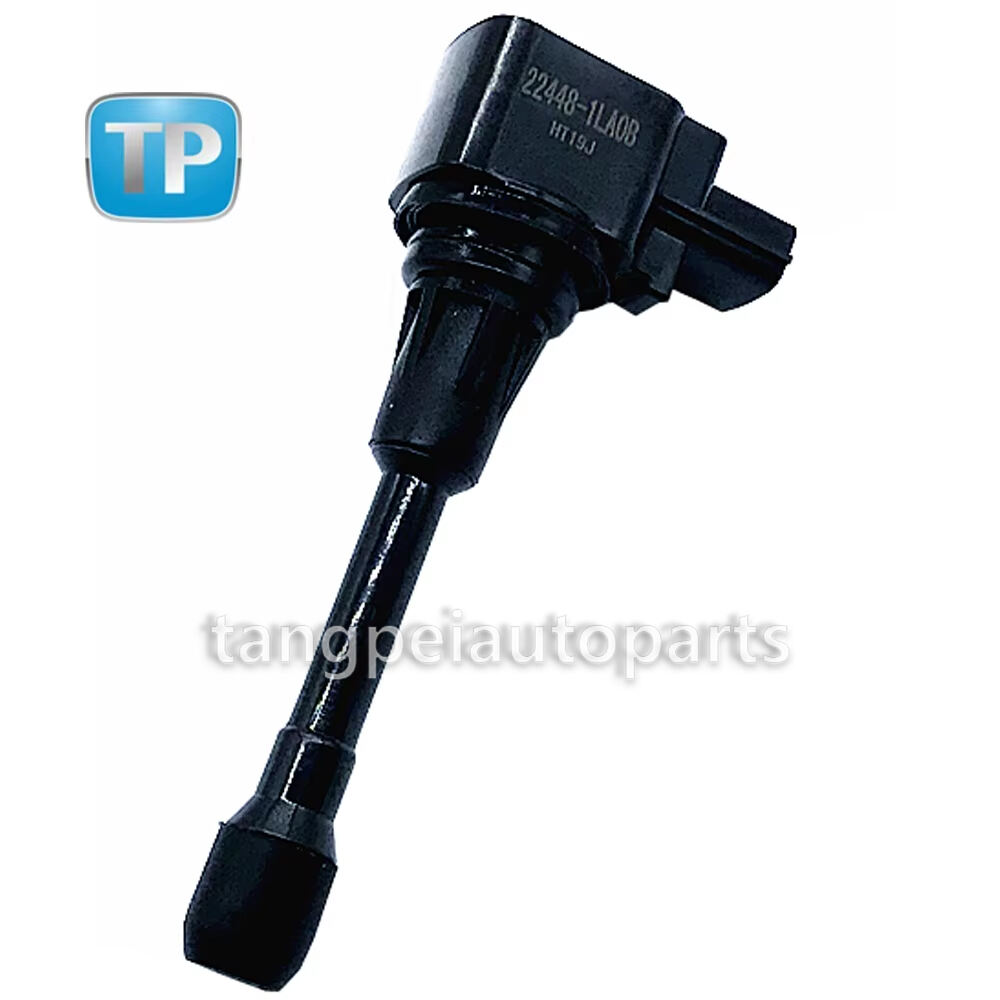 DNP Ontstekingspool Geskik vir INFINITI QX56 QX80 Nissan PATROL VI Armada 22448-1LA0B 224481LA0B