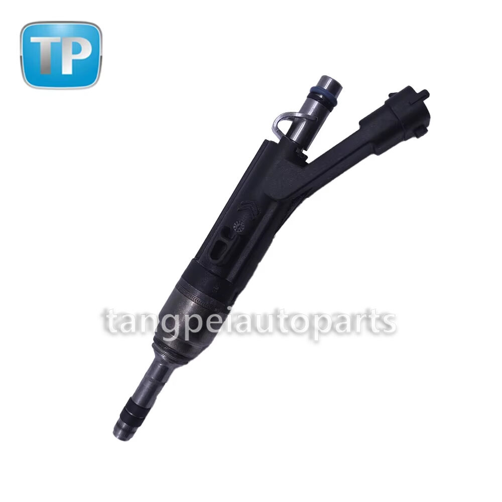 Hámarks gæða eldsneytissprengjur fyrir OEM 9822715980 fyrir PEUGEOT