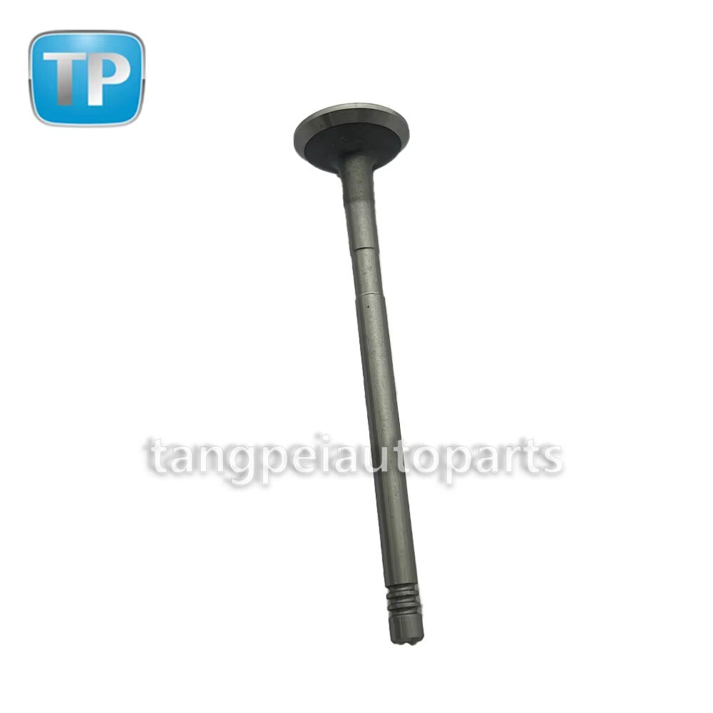 صمام عادم المحرك الأصلي من مصنع القطع 1S4G-6505-BA 1S4G6505BA لشركة فورد