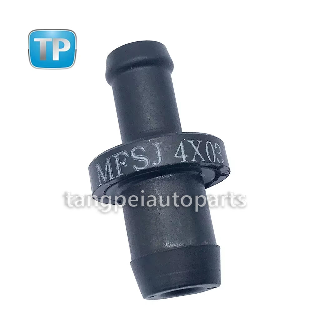 Aukštos kokybės automobilių dalis Atbulinio vožtuvo OEM 11810-75T00 1181075T00