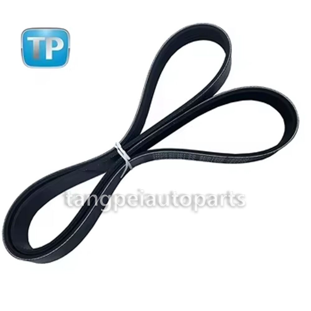 Courroie automobile à nervures multiples pour Ford Focus et C-MAX, référence d'origine (OEM) 3M5Q-6C301-AA, 6PK1306, 3M5Q6C301AA