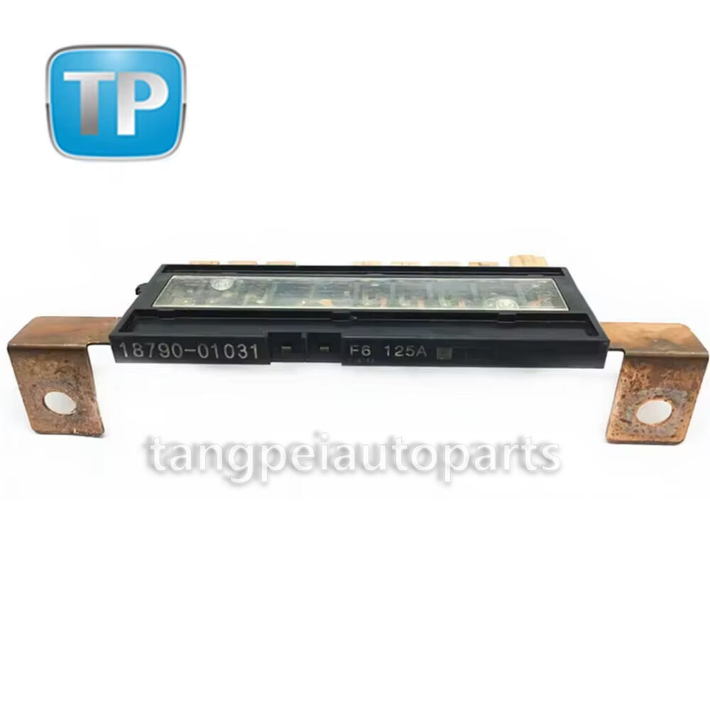 Auto Part Fuse OEM 18790-01031 1879001031 for Kia