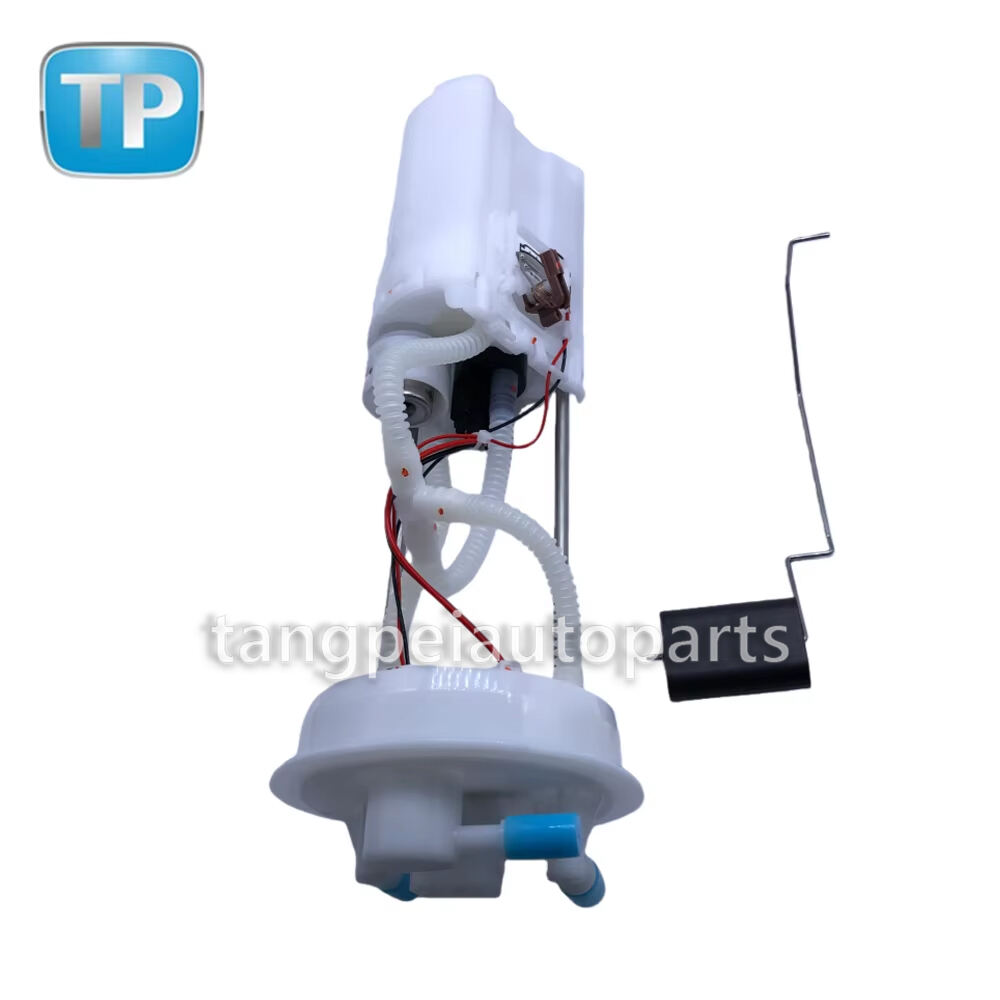Mataas na Kalidad na Bahagi ng Sasakyan, Fuel Pump Assembly na Angkop para sa Great Wall Motors OEM 1123101BPW01A