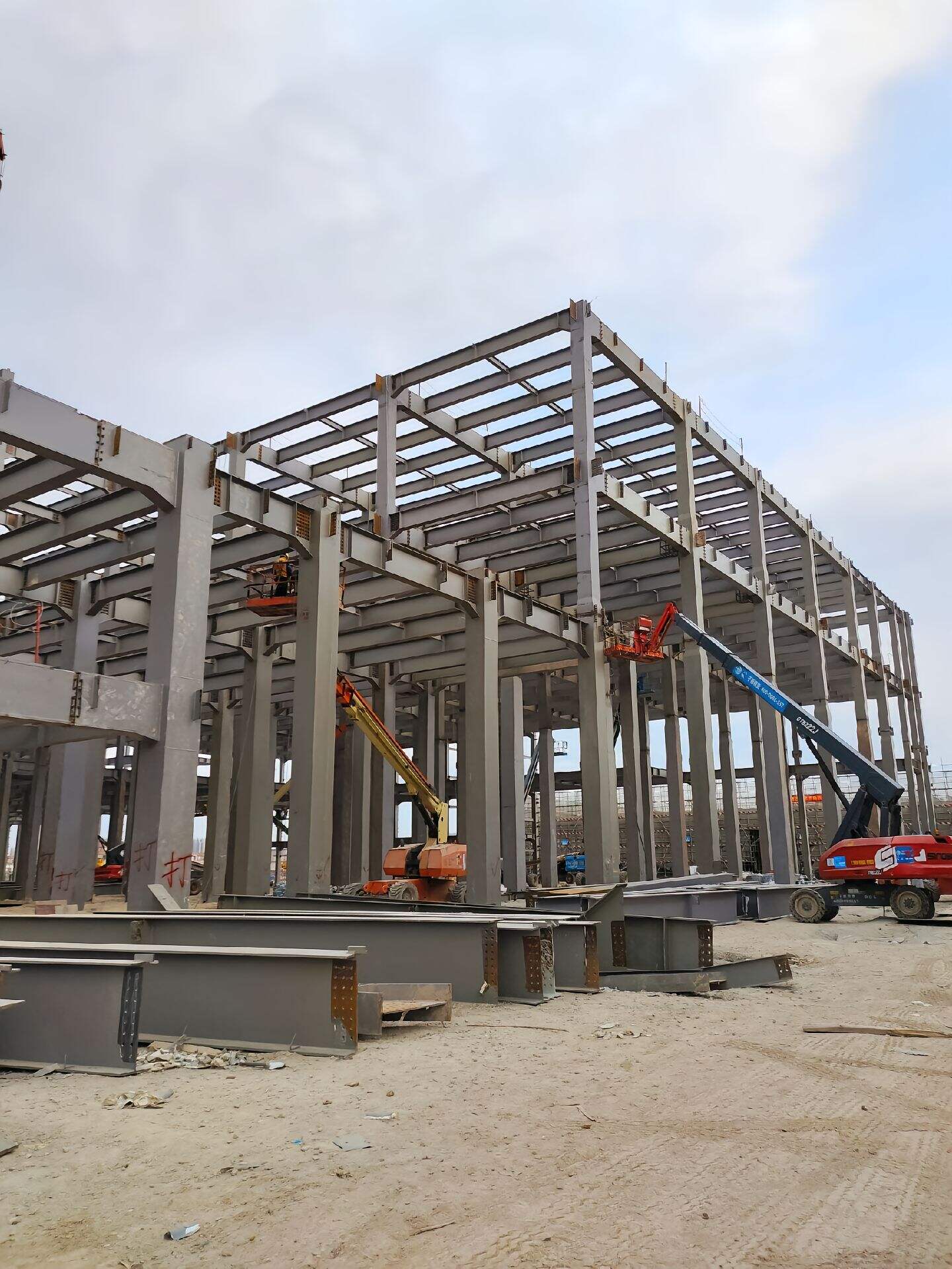 การปรับแต่งและความหลากหลาย  