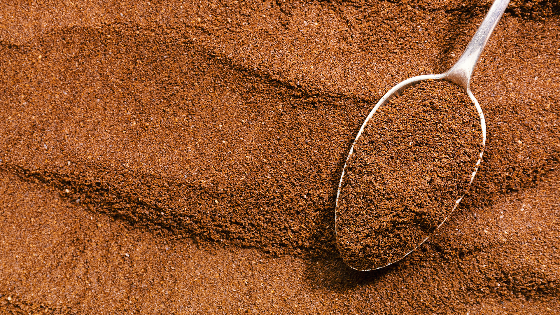 Premium Bubble Tea Powder Supplier for Global Markets