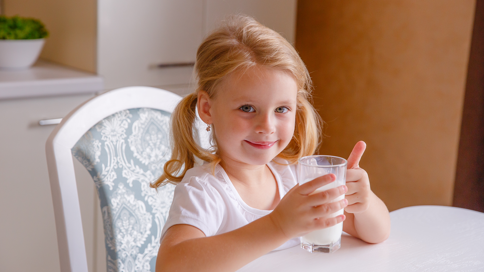 Customized Childrens Nutrition Fortification Powder for Business