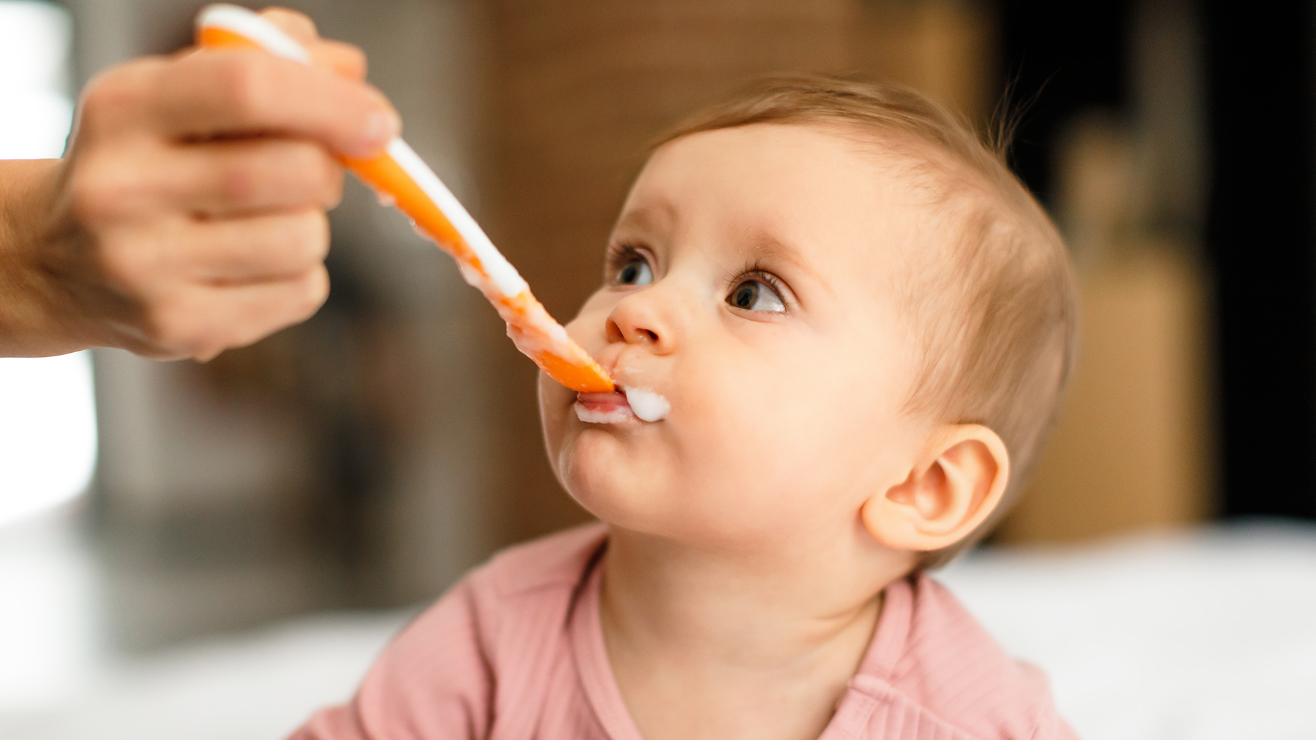 Bolsitas de Polvo Nutricional de Alta Calidad Premium para Todas las Edades