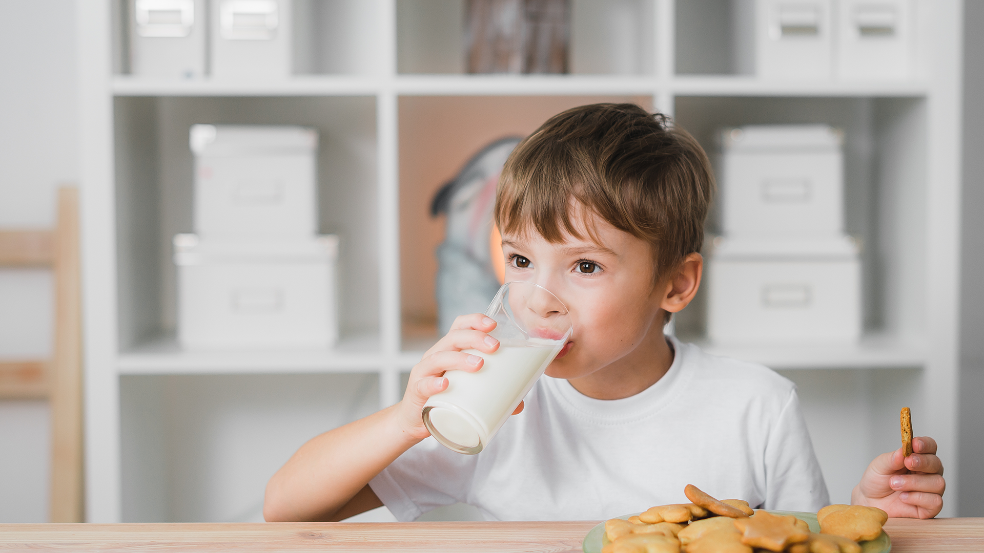 Educational Packaging Design