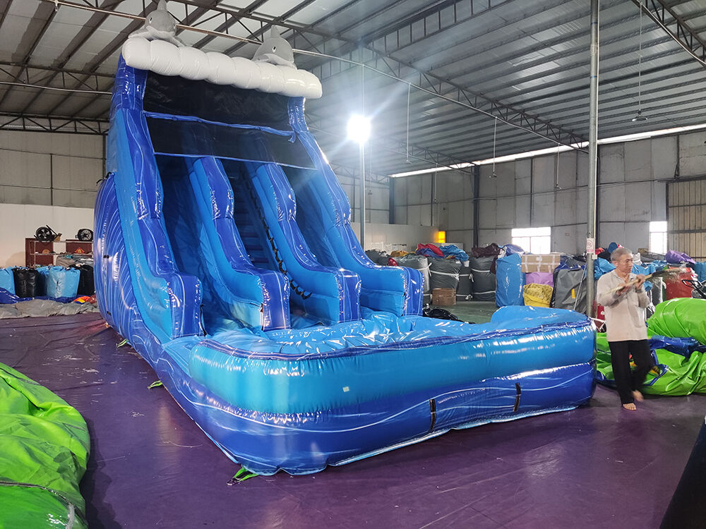 Dolphin Themed Double-Lane Glittering Inflatable Water Slide Playground