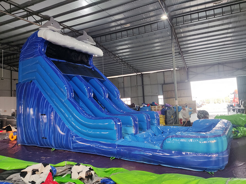 Dolphin Themed Double-Lane Glittering Inflatable Water Slide Playground
