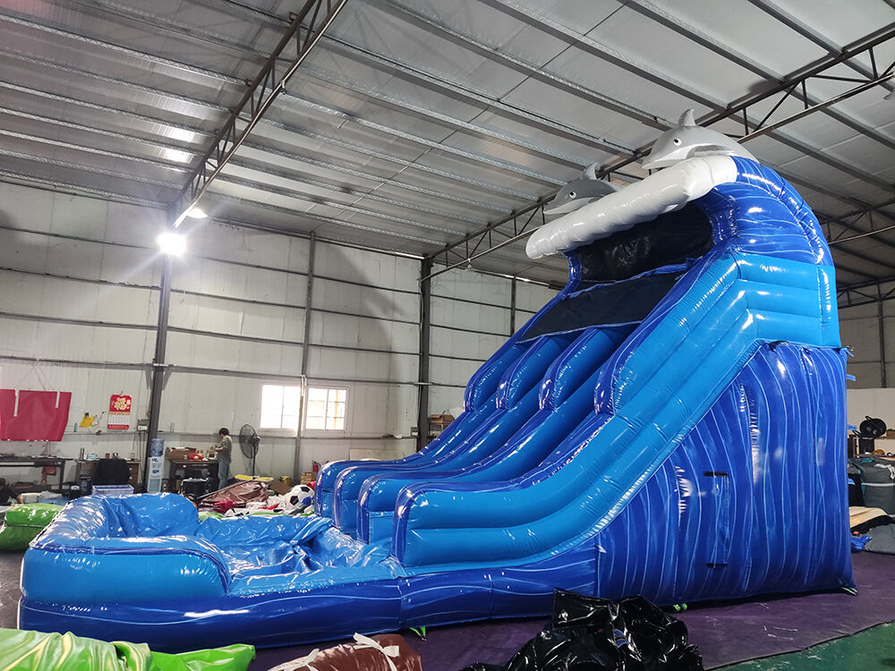 Dolphin Themed Double-Lane Glittering Inflatable Water Slide Playground