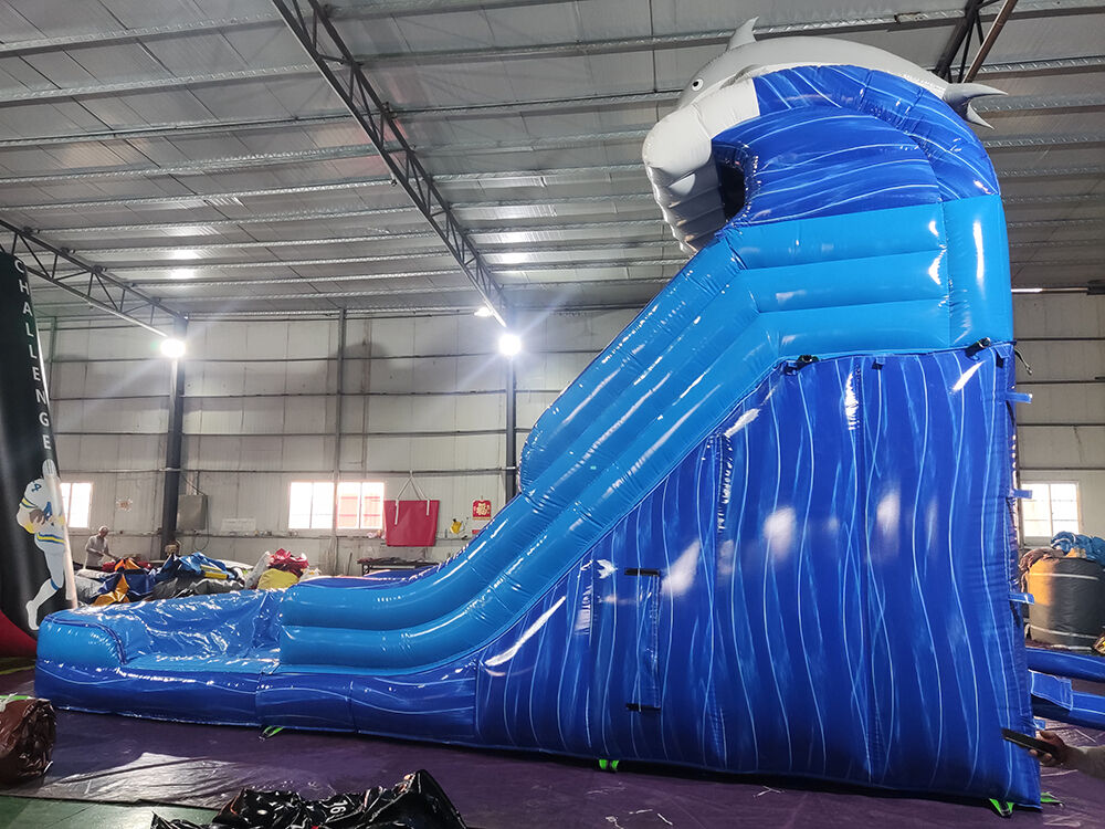 Dolphin Themed Double-Lane Glittering Inflatable Water Slide Playground
