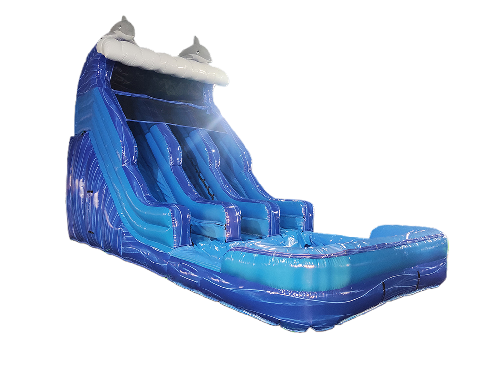 Dolphin Themed Double-Lane Glittering Inflatable Water Slide Playground