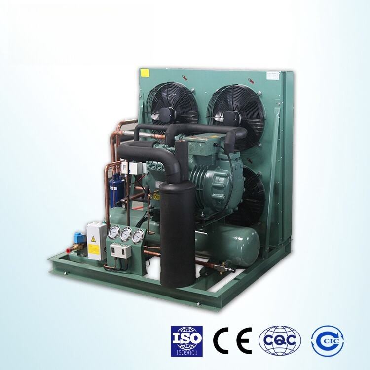 Hot Selling  Cold Storage Cooling System Refrigeration Cold Room Condensing Unit for Cold Room supplier