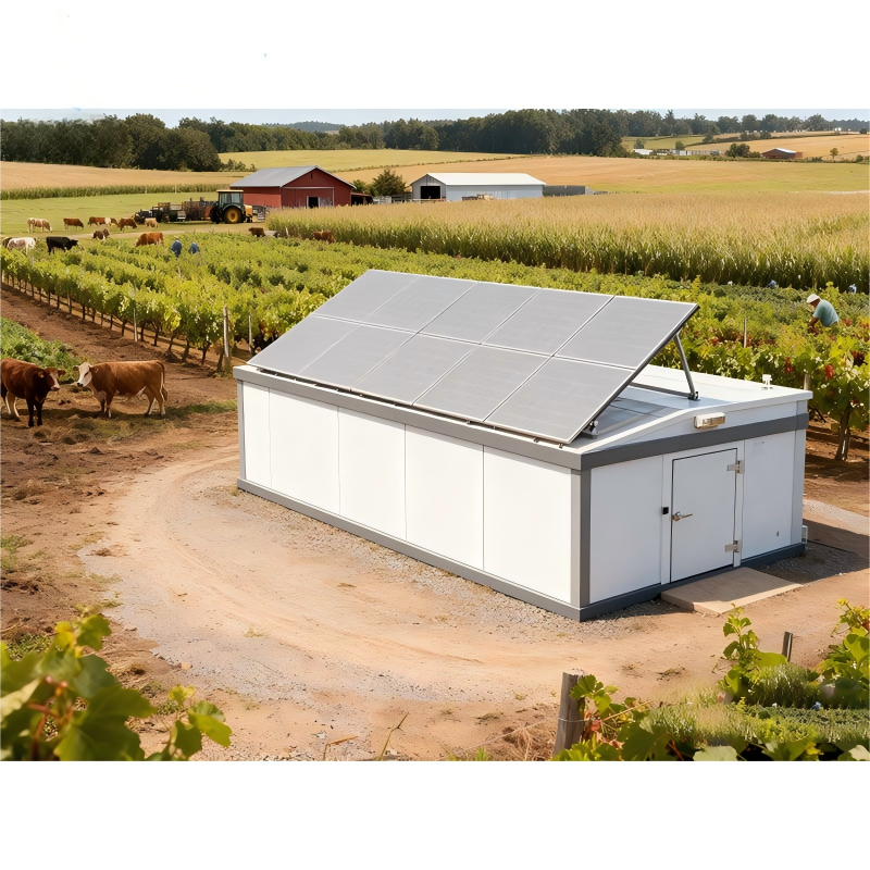 ¿Puede la energía solar alimentar eficientemente su almacenamiento en frío?