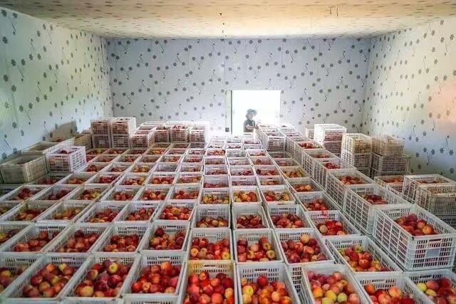 果蔬冷库 (19).jpg