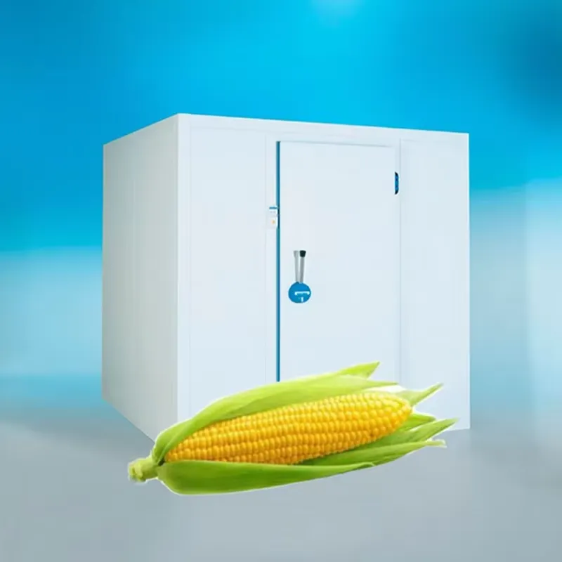 Mga Magandang Solusyon para sa Hamon ng Cold Room sa Industriya ng Pagkain