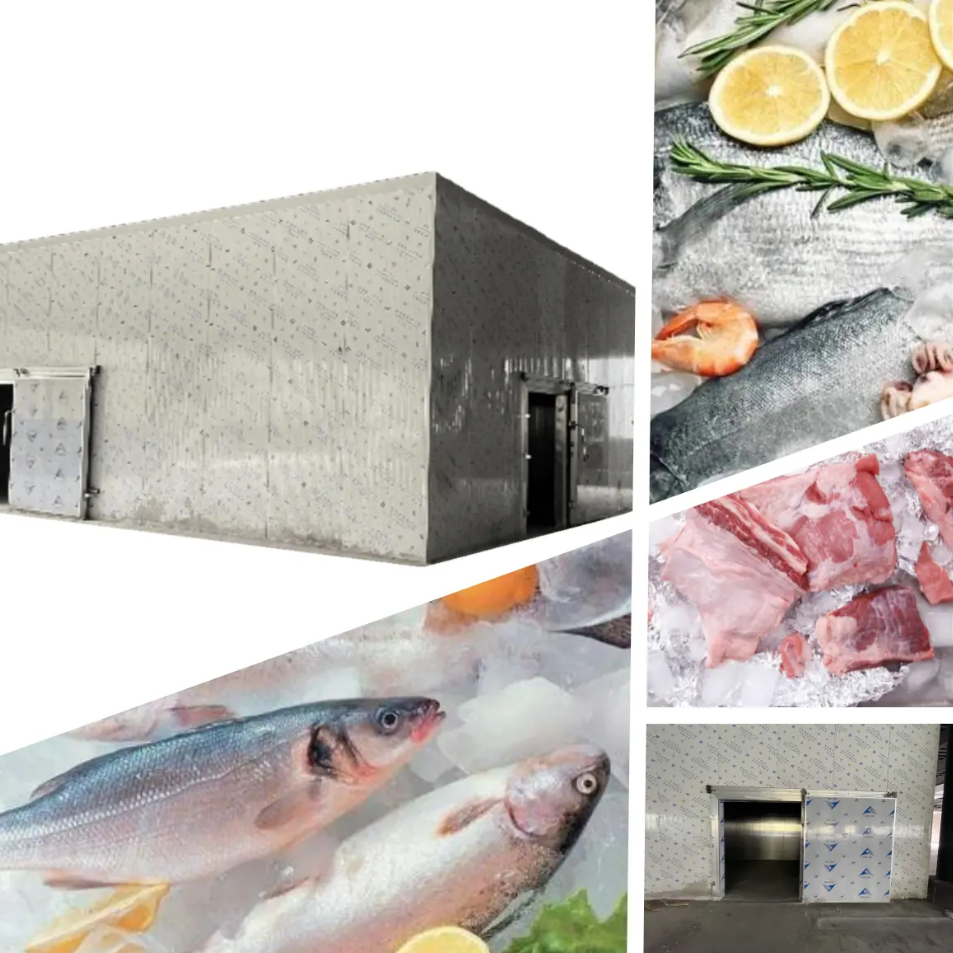 Seafood Cold Storage