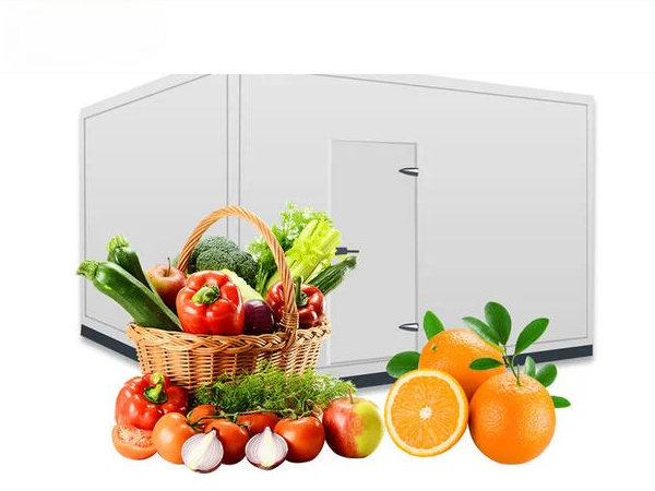 product wholesale price cold room storage freezer for green banana fish cold house for hotels farms home use-0