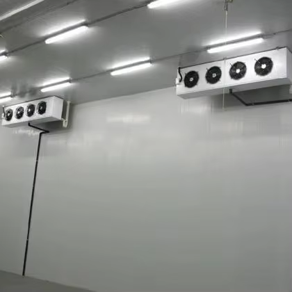 Paano Pumili ng Tamang Cold Room para sa iyong Negosyo