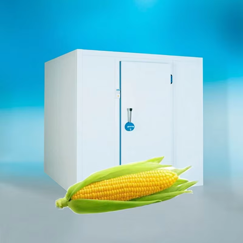 China-Made Cold Room Frozen Fish Ice Cream Corn Storage 380V Panel Compressor  New Motor Included