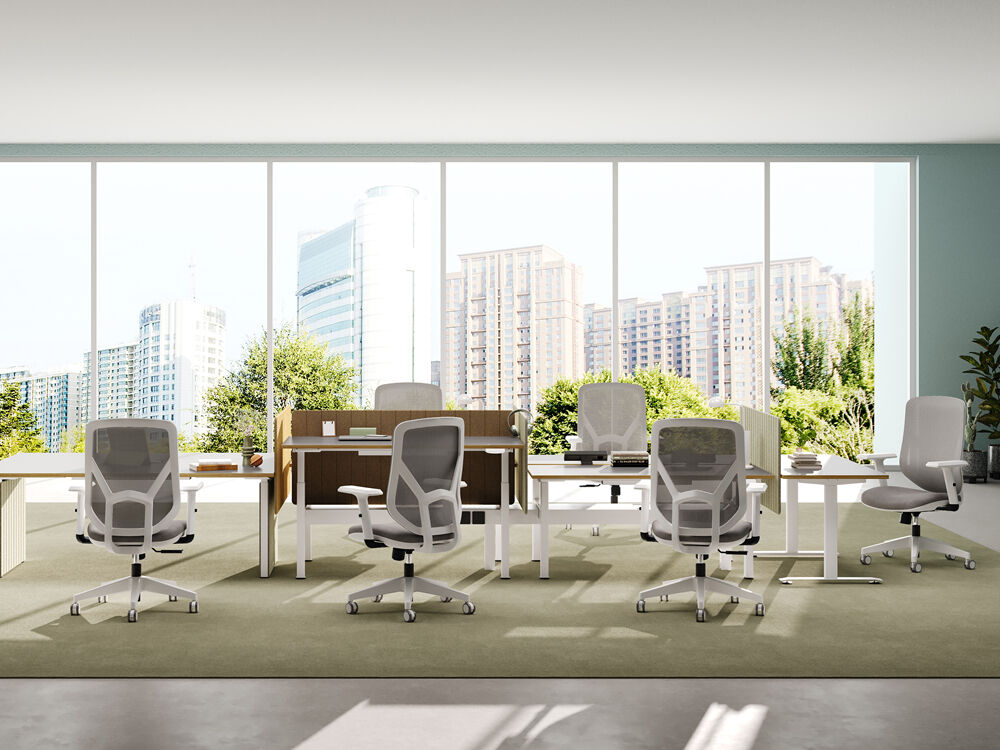 Revolusjonært lumbalt støttesystem