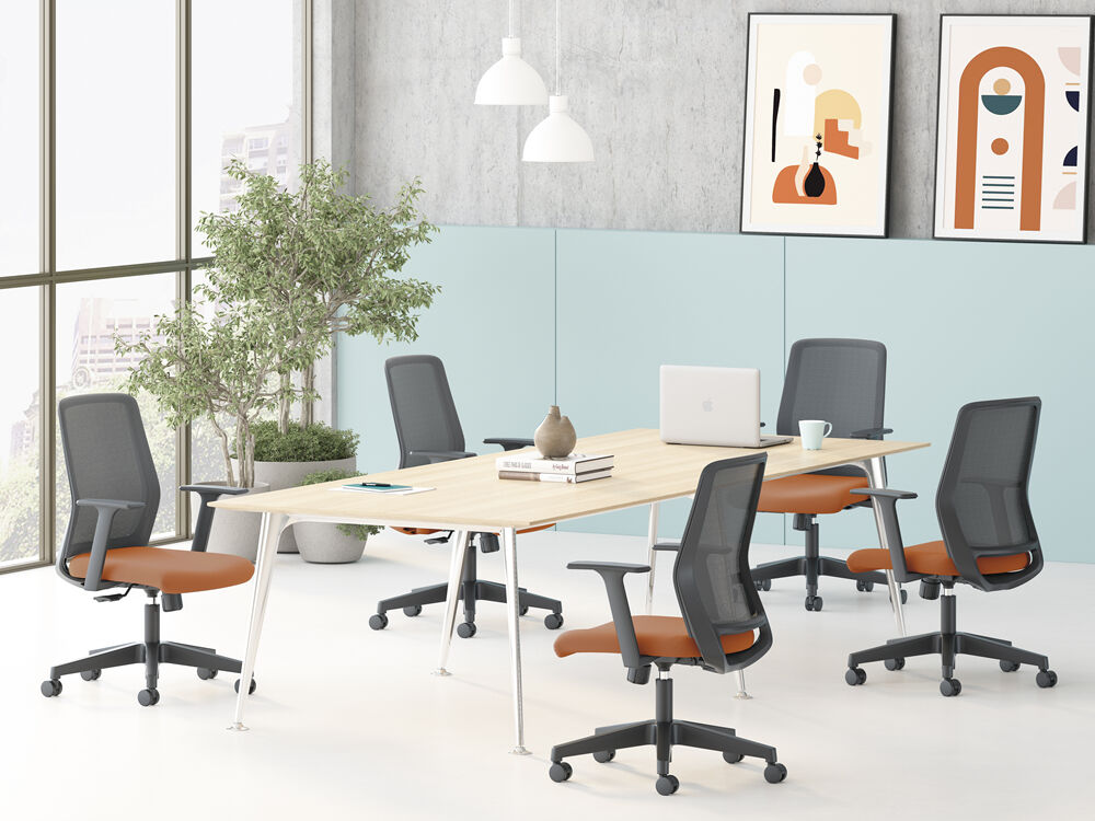 پیشہ ورانہ خوبصورتی اور جامع درجہ بندی کے استعمال