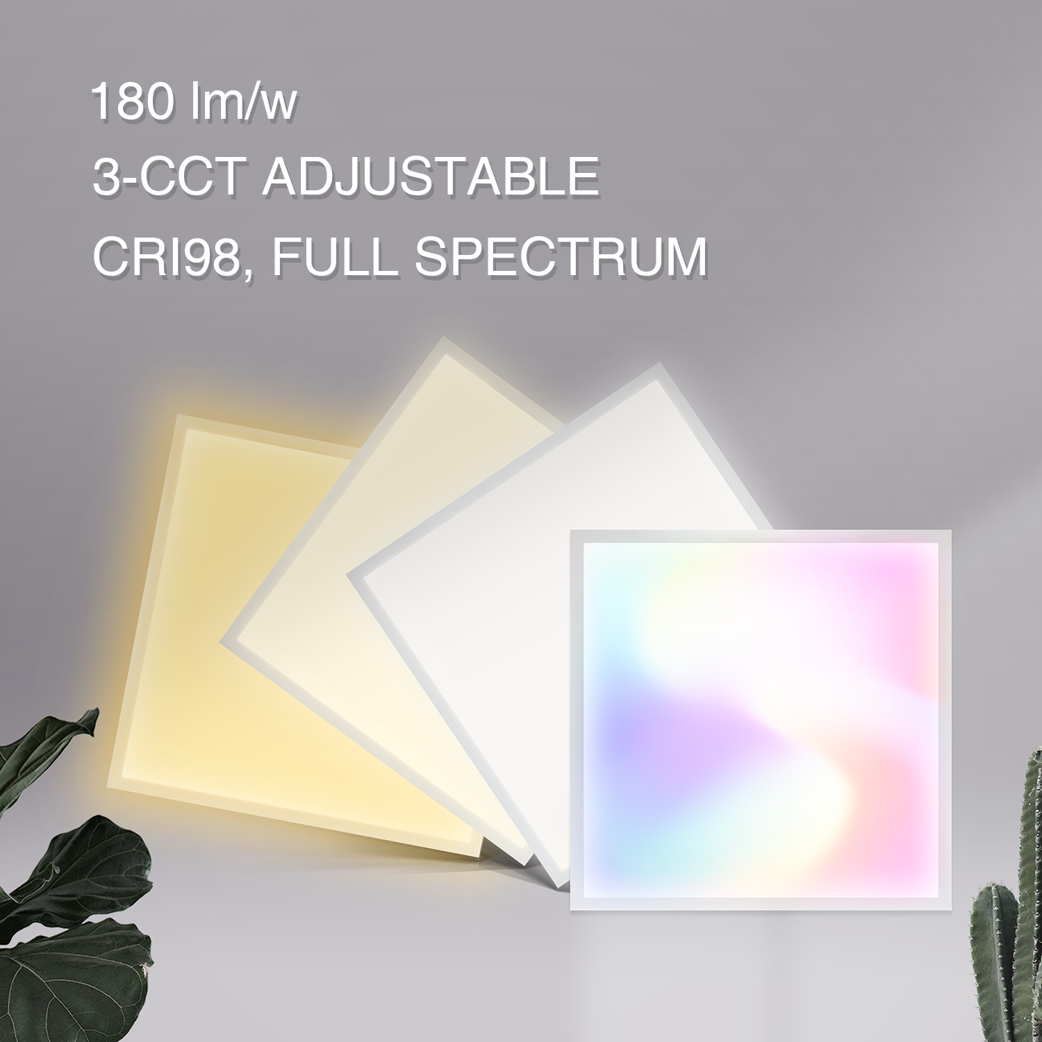 photobank (23).png
