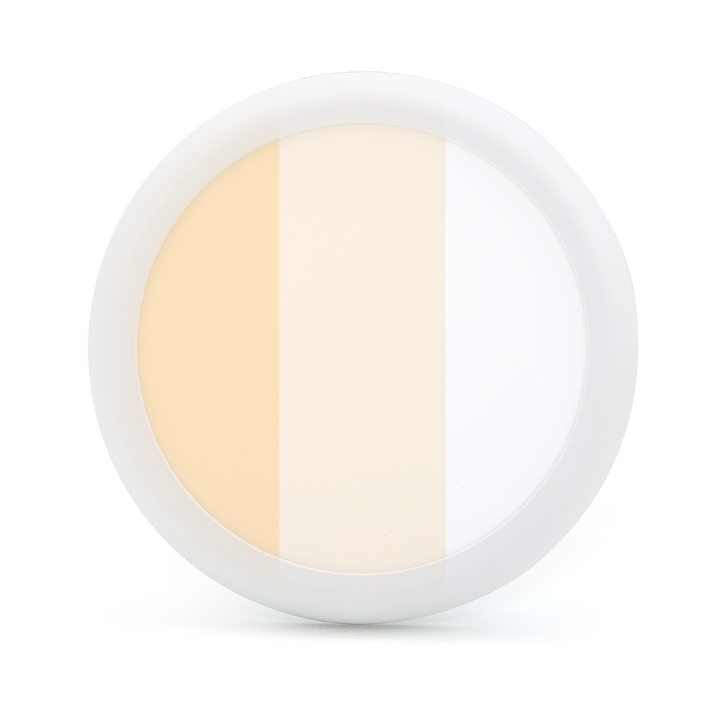 DLR1-220-DP3C 3CCT IP44 12W/18W 2 in 1 Installation LED Downlight