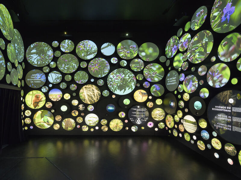 How to Evaluate LED Display Performance