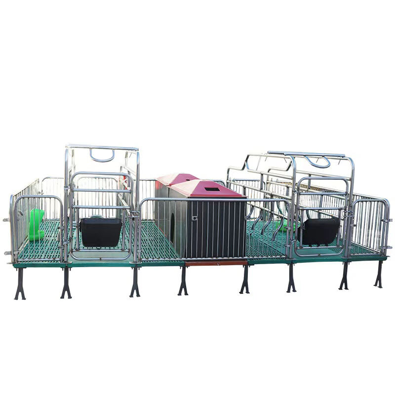 Upgrading and Reform of Pig Farrowing Crates and Pig Stalls in the Livestock Breeding and Management Industry