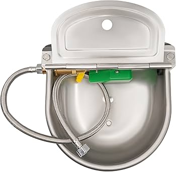 Enhanced Operational Efficiency