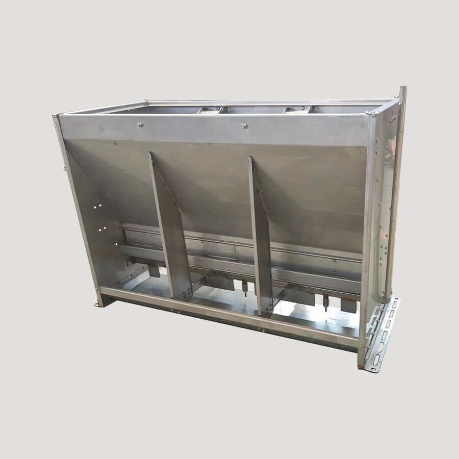 The Evolution of Global Piglet Feeders: From Basic Tools to Automated Feeding Equipment