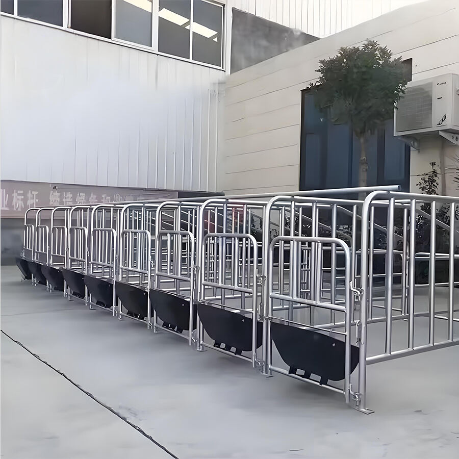 Jaula para Cerdo de Gestación Galvanizada Pesada
