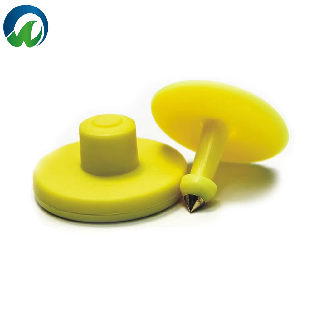 Durabilité et résistance aux intempéries exceptionnelles