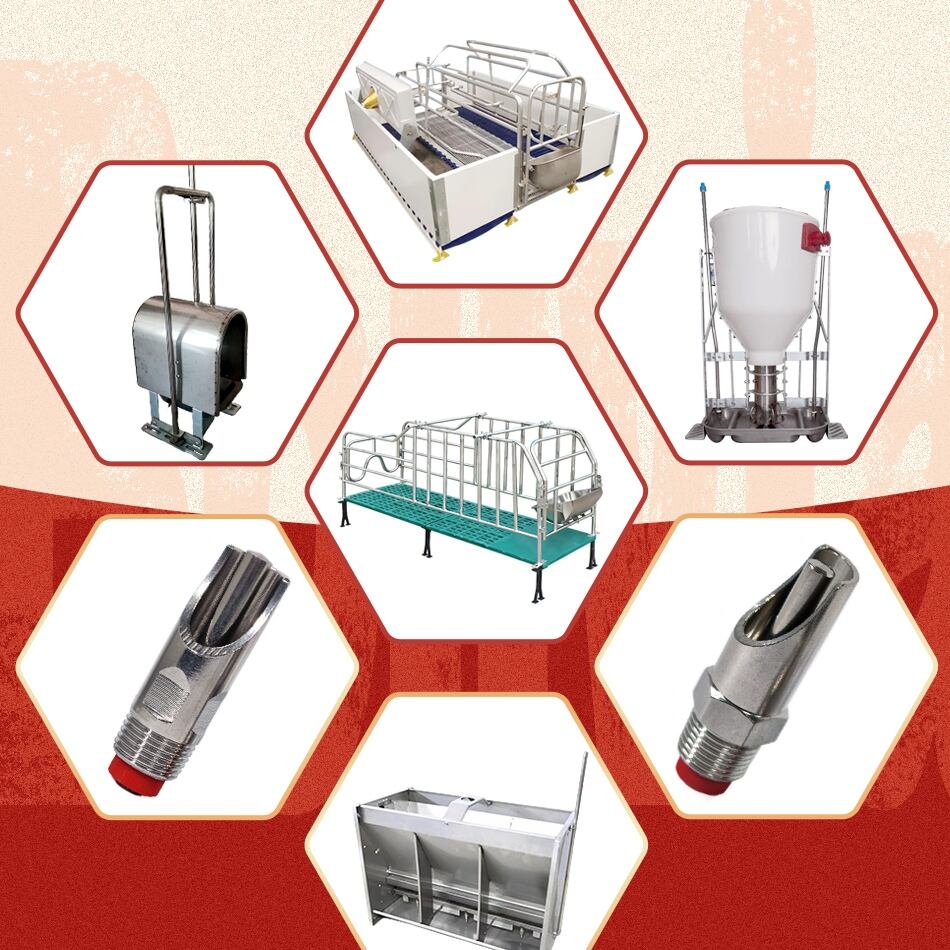 Wanqing Animal Husbandry Secures $300,000 Pig Breeding Equipment Order from Bolivia