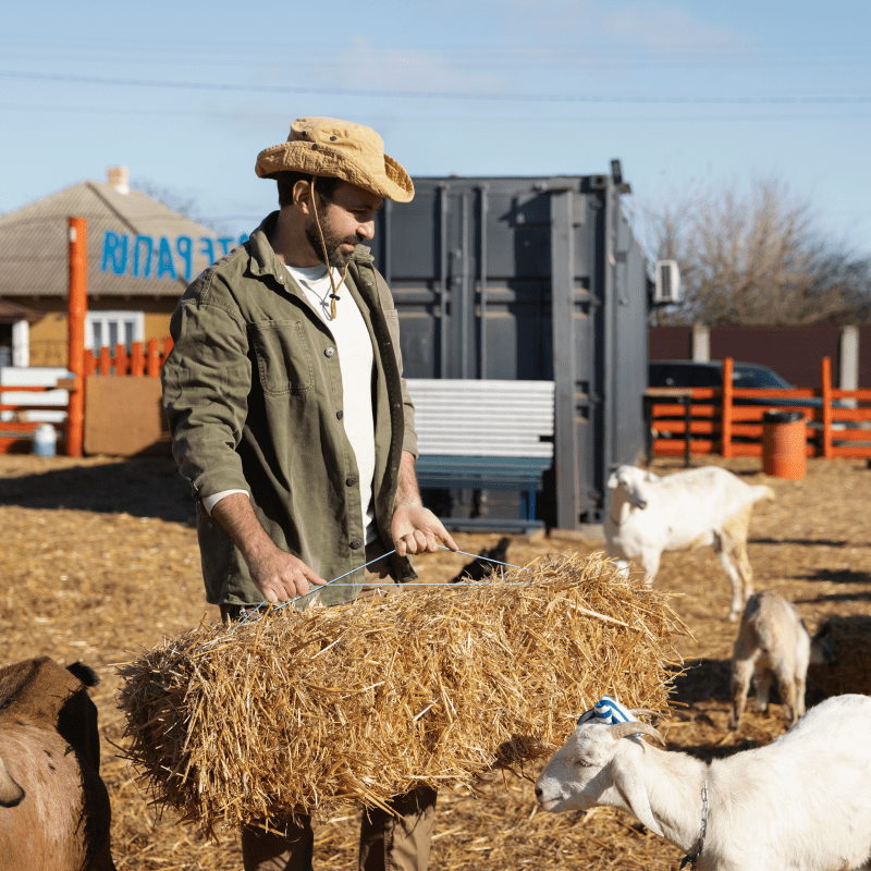 China's Export Trends of Livestock Breeding & Management Equipment to Europe