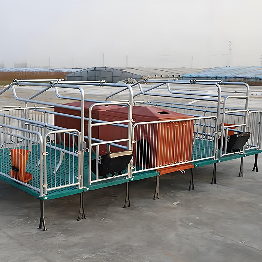 Heavy-Duty Cast Iron Piglet Farrowing Pen with Upgradable Feeding and Drinking System for Modern Pig Farming
