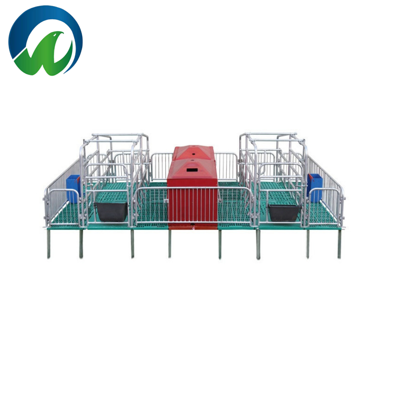 Farrowing Crates: Clash Between Chinese-Style and European-Style