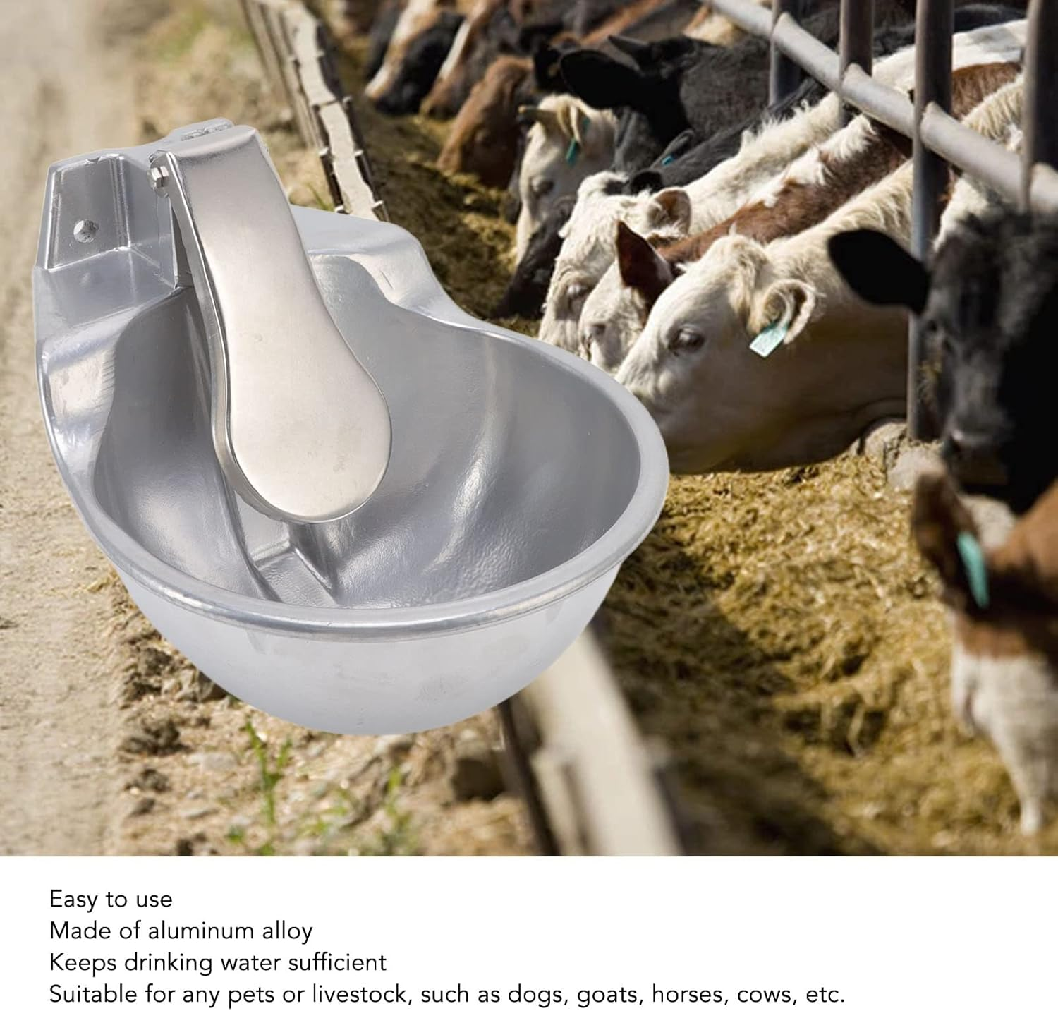 Hygiene and Maintenance Features