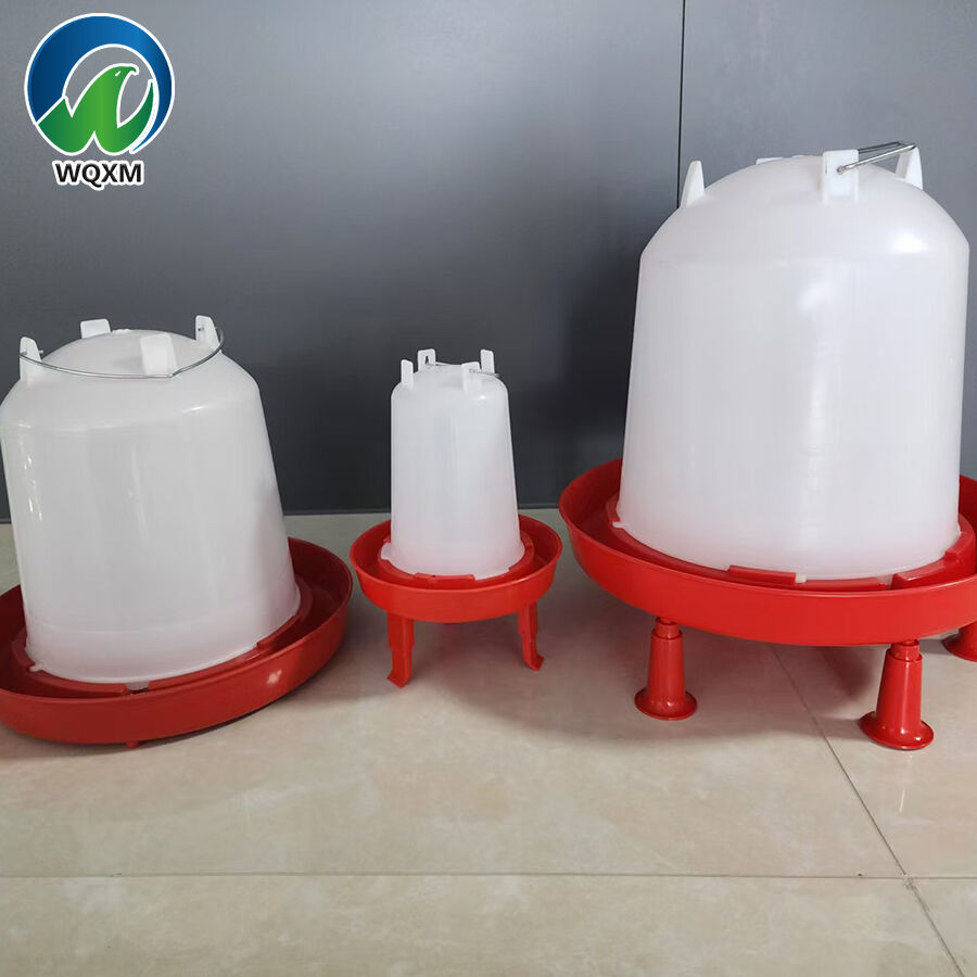 Chicken Water Bucket: Various Styles Beyond Imagination