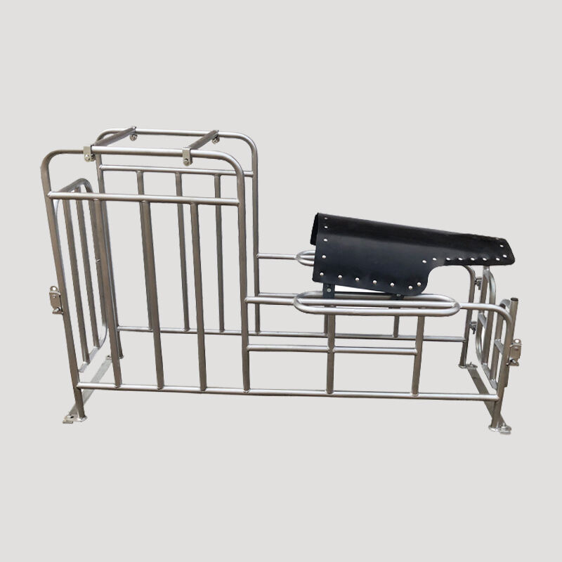 Cage de Positionnement pour Porcs en Croissance et de Gestation Galvanisé à Chaud pour l'Élevage de Truies