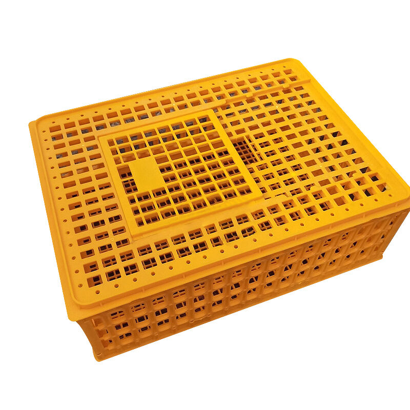 Advanced Safety Features and Compliance