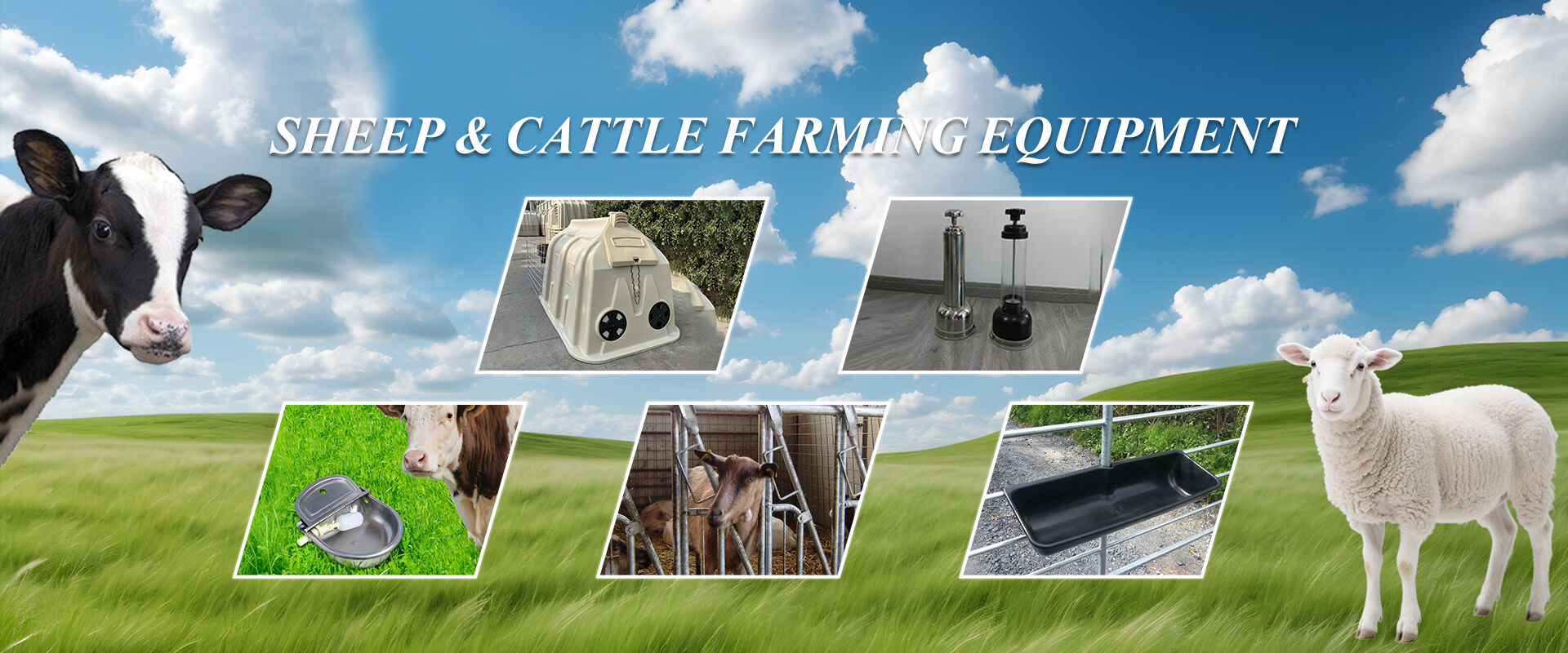 Sheep vs. Pig Farming Equipment: Market and Industry Insights