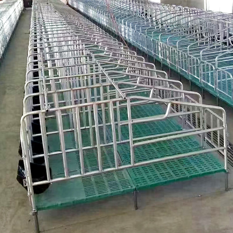 cages-de-gestation-trempage-chaud-galvanis-haute-performance-pour