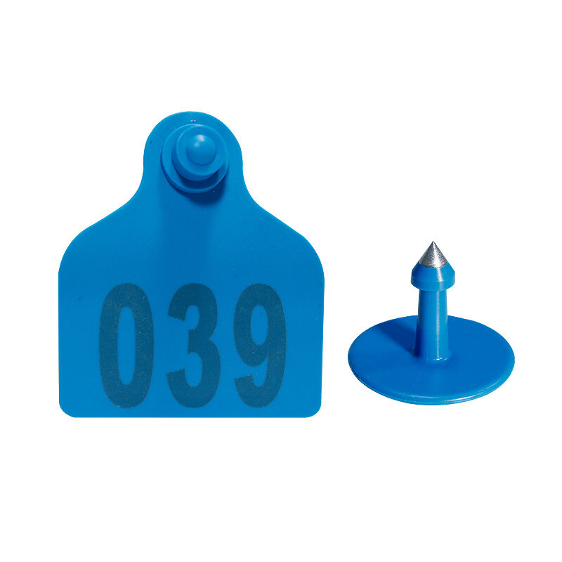 Capacités de personnalisation et de flexibilité