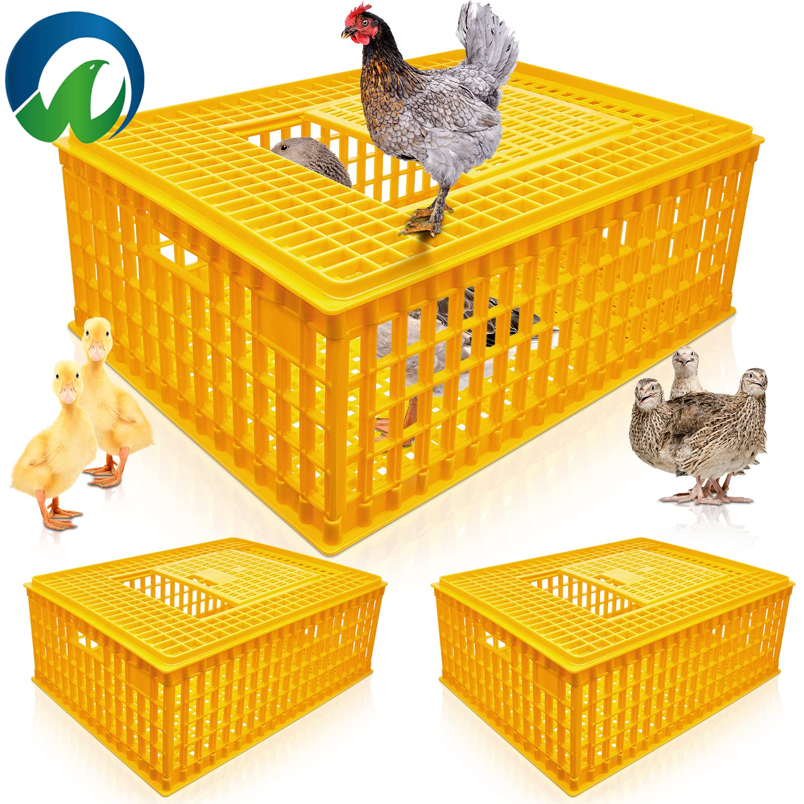 Technologie avancée de ventilation pour une santé optimale des oiseaux