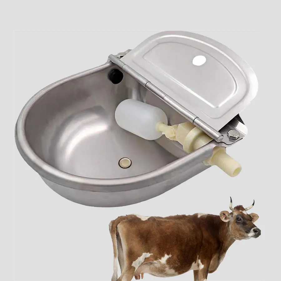 Wanqing Animal Husbandry Secures Cyprus Deal for Cattle Water Bowls, Accelerates Push Into Europe