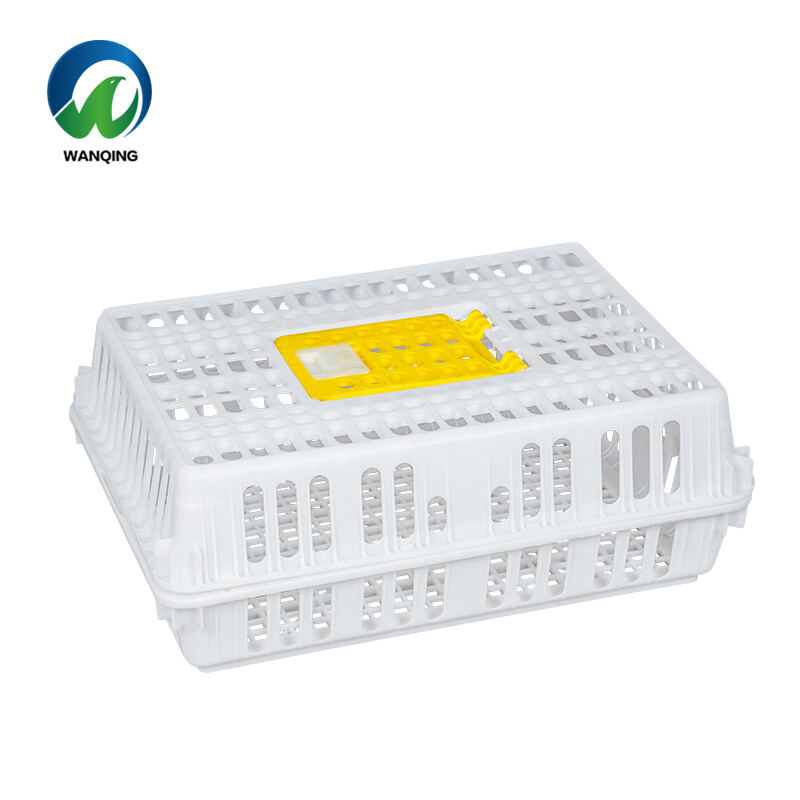 ما التحديات التي تُحدثها أقفاص الولادة للخنازير خلال مراحل الرضاعة المختلفة؟