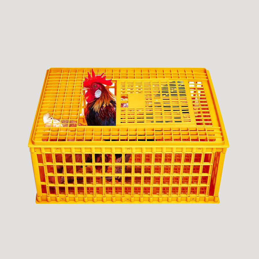 Polypropylene Pp Chicken Transport Basket With Easy Opening Cap